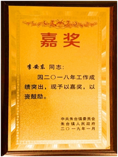 公司獲鎮(zhèn)黨委、政府表彰