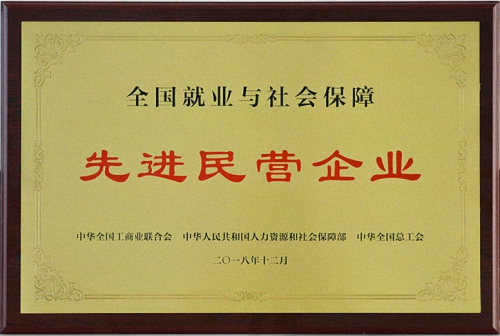齊峰新材料股份有限公司 被評為“全國就業(yè)與社會保障先進民營企業(yè)”