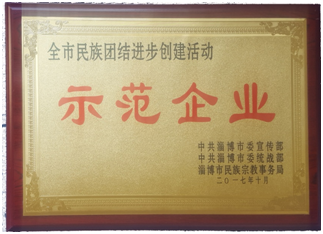 我公司被評為全市民族團結(jié)進步創(chuàng)建活動示范單位