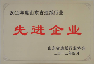 我公司被評為2012年度全省造紙行業(yè)先進企業(yè)