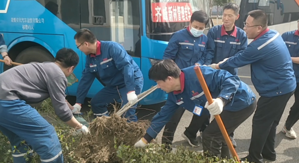 不負春光  移植廠區(qū)樹木