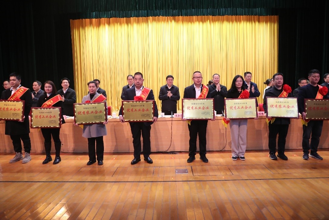 廣西齊峰公司榮獲貴港市2024年度“優(yōu)秀工業(yè)企業(yè)”榮譽(yù)